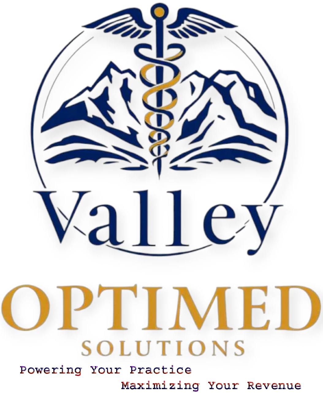 Healthcare professional using digital technology